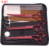 Set professioneller Edelstahl-Pflegeschere und -kämme für Haustiere in schwarzem Etui.