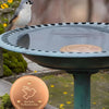 Un disque de bain d'oiseaux finition cuivre monté sur un socle vert, avec un petit oiseau perché sur le rebord.