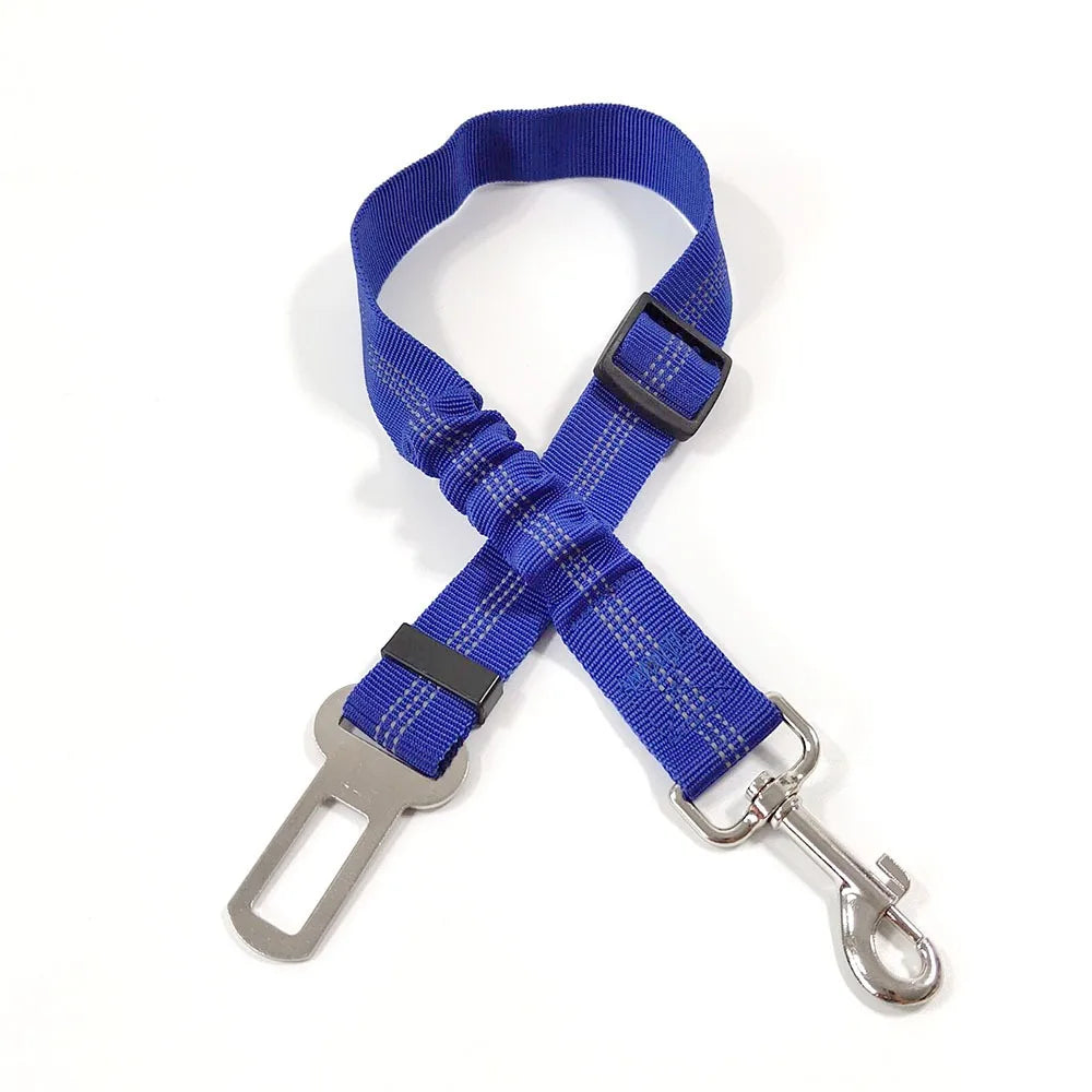 A blue nylon dog seat belt with an adjustable harness and metal clip.
