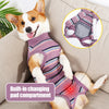 A dog wearing a purple and pink protective recovery suit with a built-in changing pad compartment.
