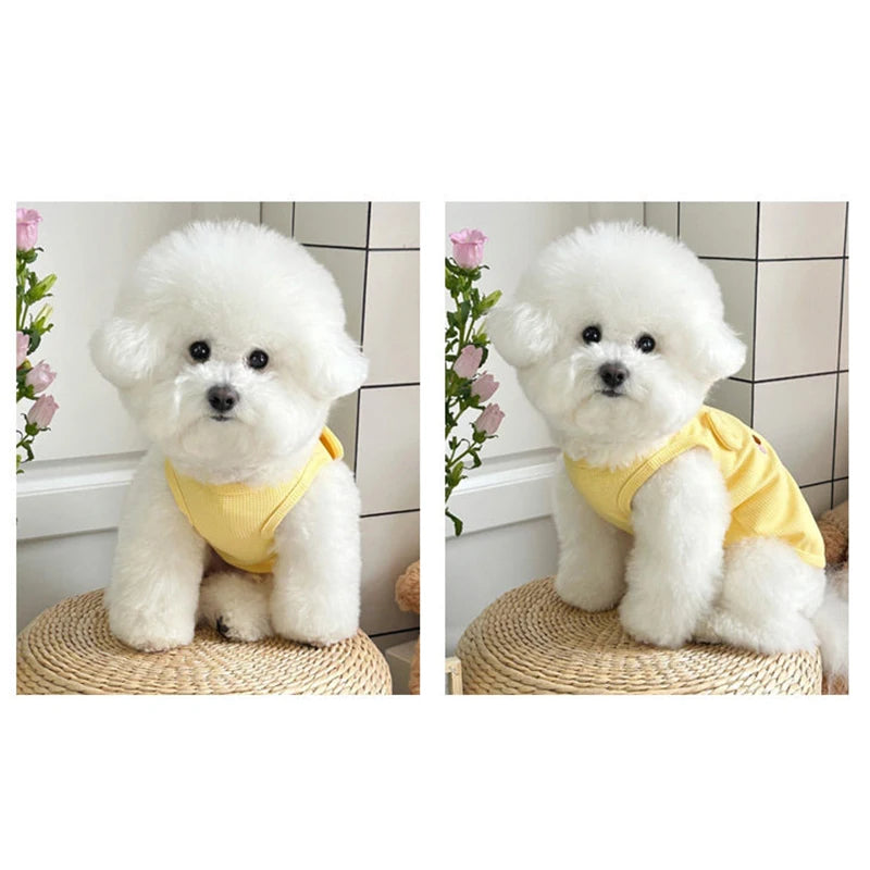 A fluffy white dog wearing a yellow waffle knit pet vest, sitting on a woven mat.