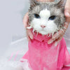 A gray and white cat is being held by a hand, wearing a pink mesh grooming bag.