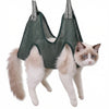 Ein flauschiger, hellfarbener Kater steht auf einem Hundepflegenhocker zum sicheren Schneiden und Bürsten von Krallen.