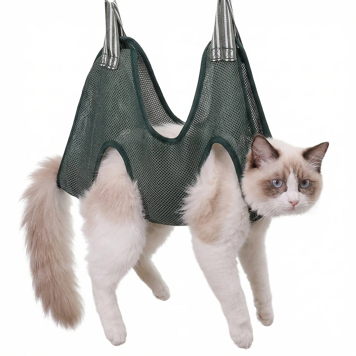 Ein flauschiger, hellfarbener Kater steht auf einem Hundepflegenhocker zum sicheren Schneiden und Bürsten von Krallen.
