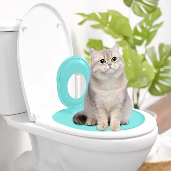 A fluffy gray cat sits on a blue reusable toilet training seat inside a white toilet bowl.