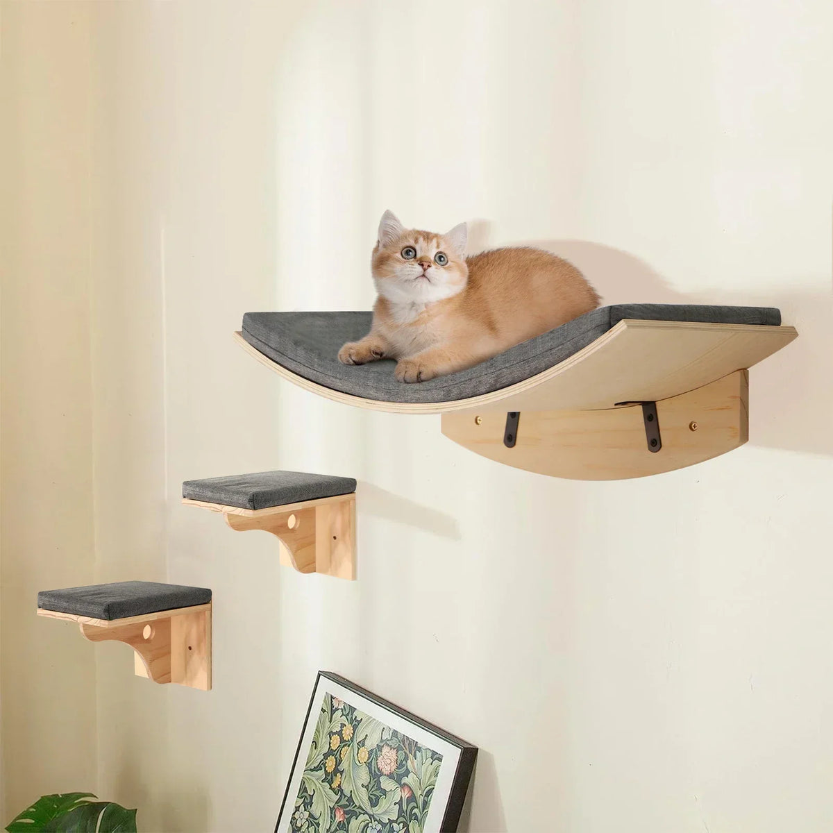 A wall-mounted cat tree featuring a scratching ramp and a hammock, suspended on a light-colored wall.
