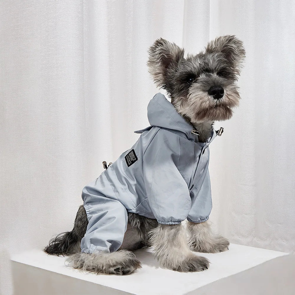 A gray dog wearing a light blue waterproof raincoat and jumpsuit.