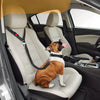 A small brown and white dog is sitting on a car seat in the passenger area of a vehicle, next to an automatic retractable dog