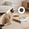 A cat is sitting next to a white elevated food and water bowl set with an anti-slip pad.