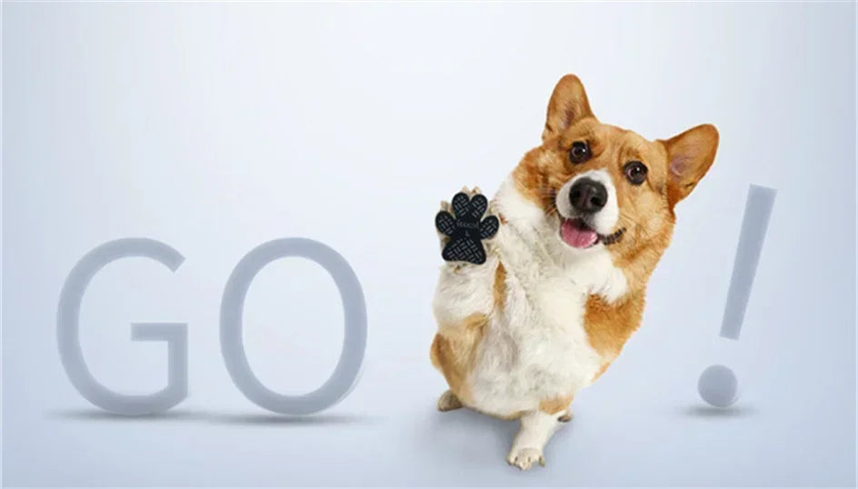 A happy dog with paw protectors looking at the camera against a light blue background.