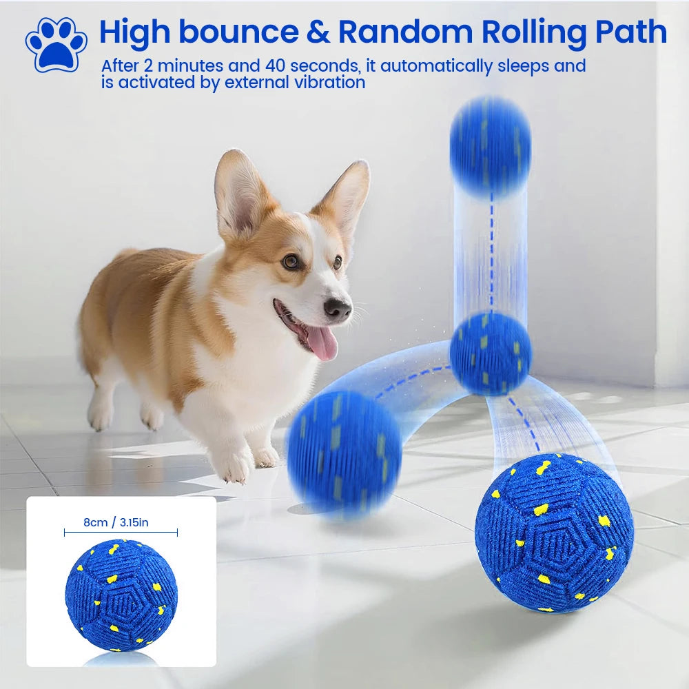 Ein kleiner Hund interagiert mit einer blauen interaktiven Kugel mit springender und zufälliger Rollbahn.