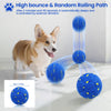 Ein kleiner Hund interagiert mit einer blauen interaktiven Kugel mit hüpfendem und zufälligem Rollpfad.