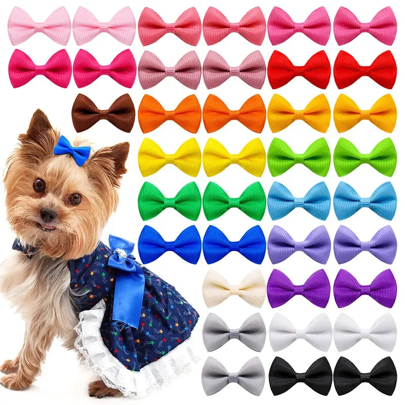 A collection of colorful pet hair clips in various shapes and colors for dogs and cats