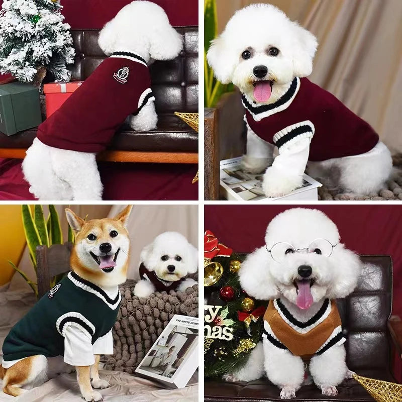Collection de pulls pour chiens, couleurs blanc et marron, pour différentes petites races.