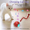 A white kitten is positioned next to a red toy that makes bird sounds.