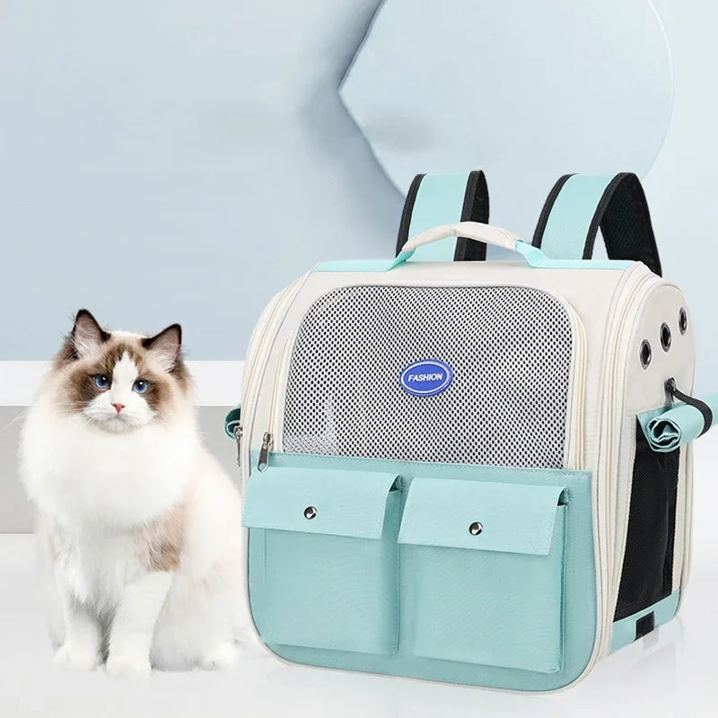A light blue cat carrier backpack with gray and black straps sits next to a fluffy white and gray cat.