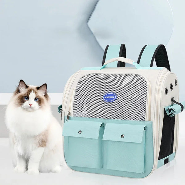 A light blue cat carrier backpack with gray and black straps sits next to a fluffy white and gray cat.