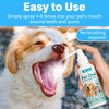 A hand sprays Pet Oral Freshening Spray onto a dog's teeth and gums.