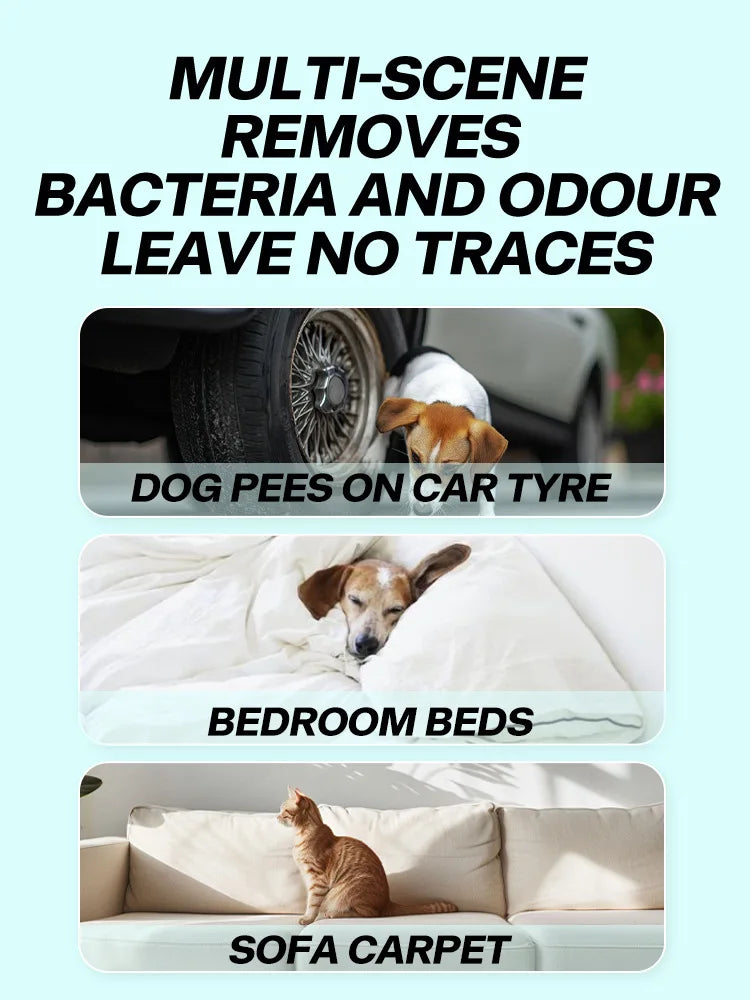 A collage showing multi-scene removal of bacteria and odour from dog, cat, and car surfaces.