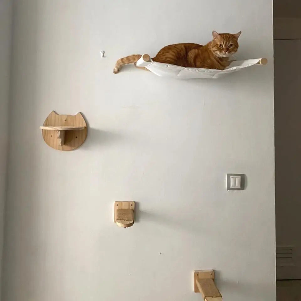 An orange cat is resting on a white wall-mounted cat tree with scratching stairs and a hammock.