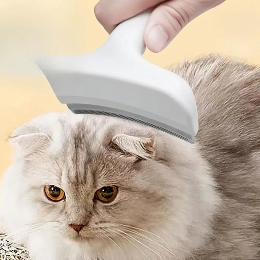 A hand is using a white pet slicker brush on the back of a fluffy gray cat.