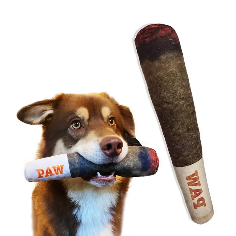 A dog holding a dark brown chew toy with the word PAW visible on the end.