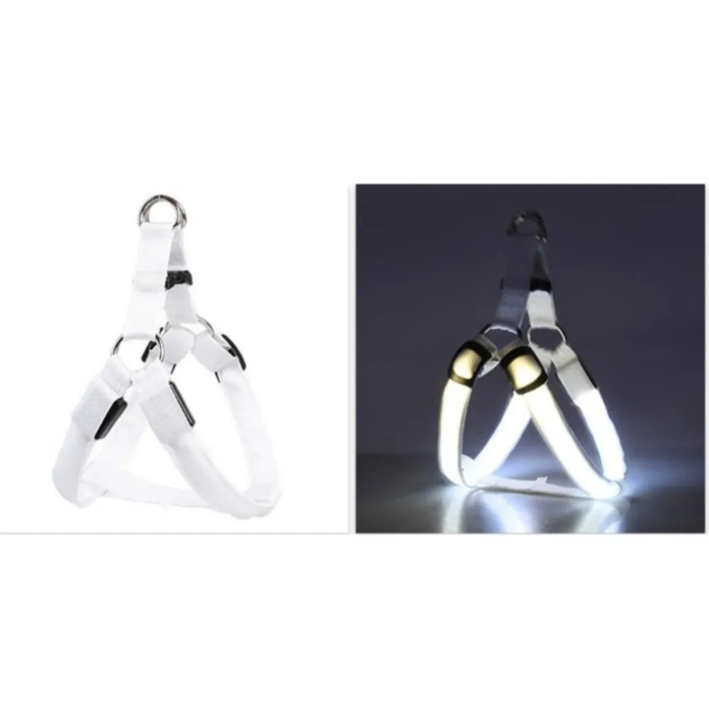 Arnés de perro LED iluminado y claro para la seguridad de las mascotas, mostrado en dos vistas.