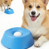 Un feliz perro Shiba Inu mira un cuenco de alimentación lenta azul, con otro perro pequeño interactuando con la comida.
