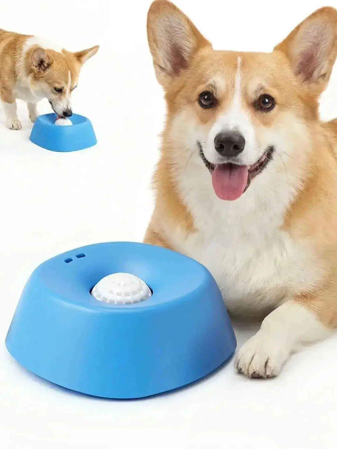 Un feliz perro Shiba Inu mira un cuenco de alimentación lenta azul, con otro perro pequeño interactuando con la comida.