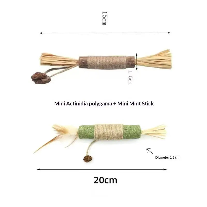 Mini Actinidia polygama and Mini Mint Stick natural wooden teething sticks for cats