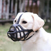 A light-colored dog wearing a black breathable basket muzzle for chewing control.