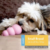 A small white and brown dog lies down with a pink rubber chew toy next to it.