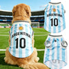 Un chien doré portant un maillot de football argentin bleu clair et blanc pour chiens.