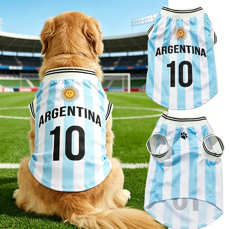 Un chien doré portant un maillot de football argentin bleu clair et blanc pour chiens.