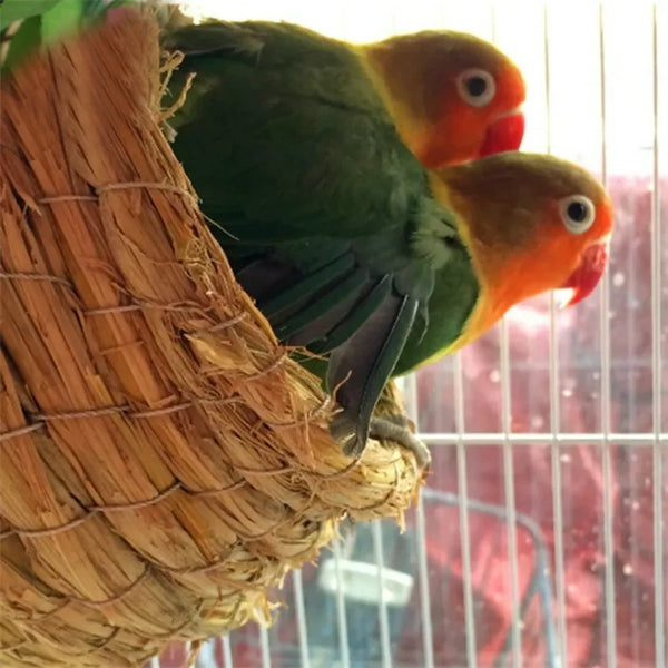 A green and orange parrot sits inside a natural straw bird nest in a cage.