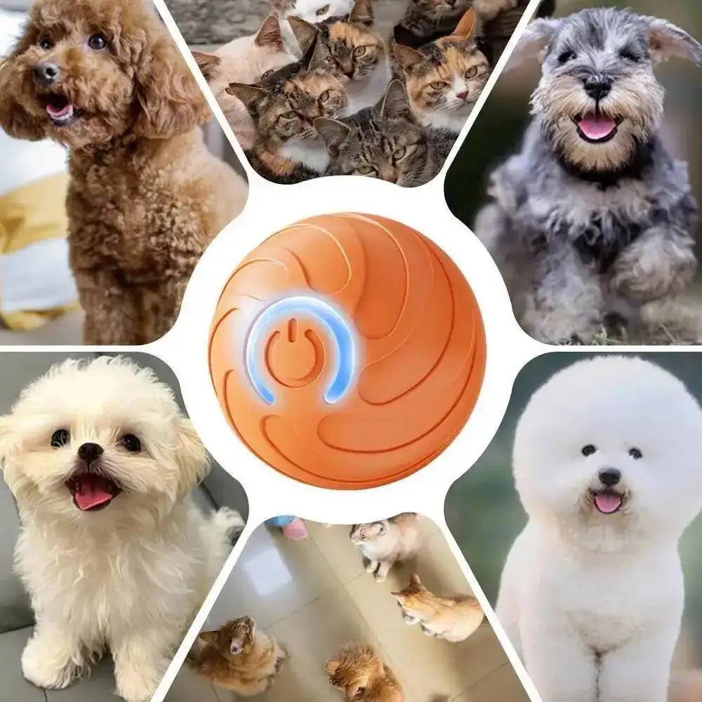 Eine Sammlung flauschiger Hunde und ein leuchtend orangefarbener interaktiver Spielball für Haustiere.