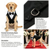 A golden retriever wearing a black tuxedo vest and bowtie collar sitting for a formal ceremony.