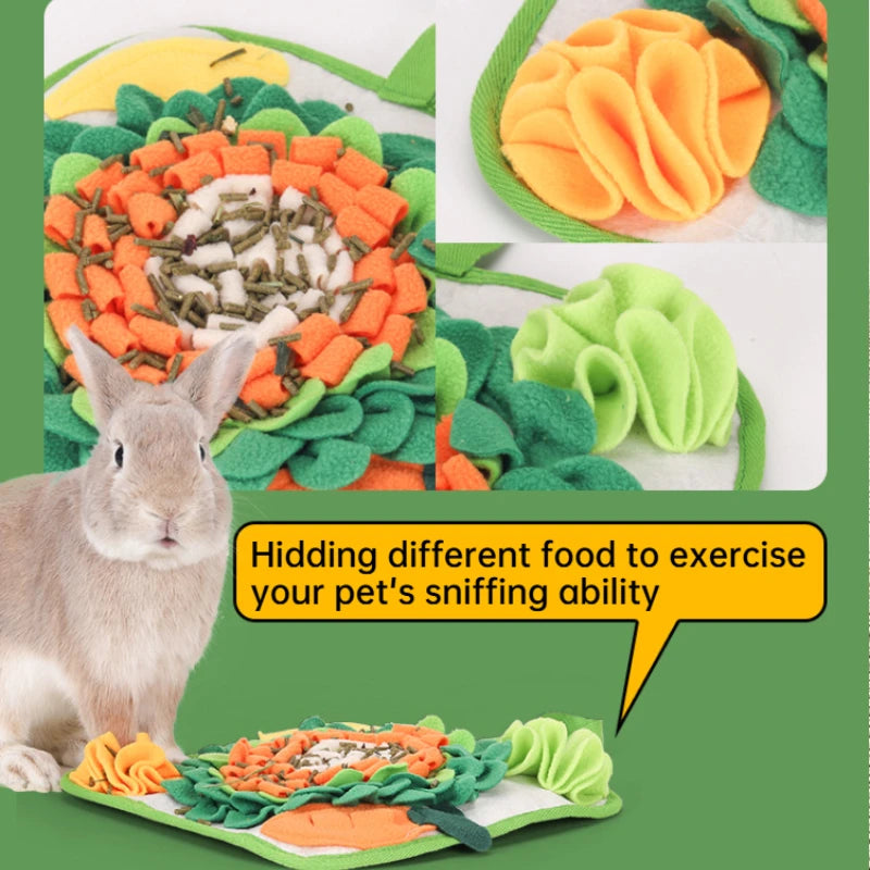A pet rabbit is shown near a mat with various colored foods hidden to exercise its sniffing ability.