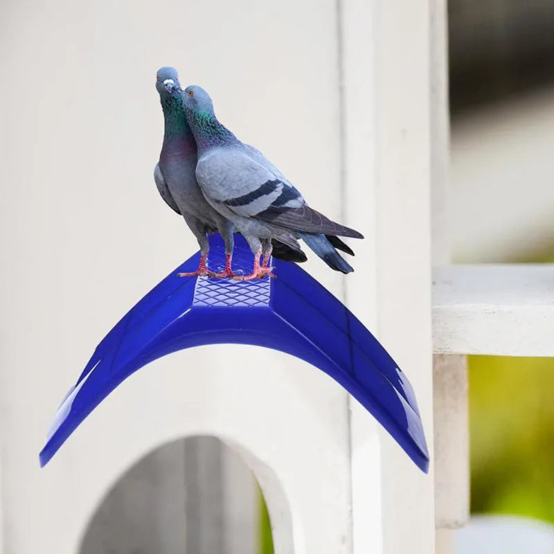 Eine Taube und ein Sperling ruhen zusammen, mit einem grauen Vogel auf einer blauen Kunststoffbasis.