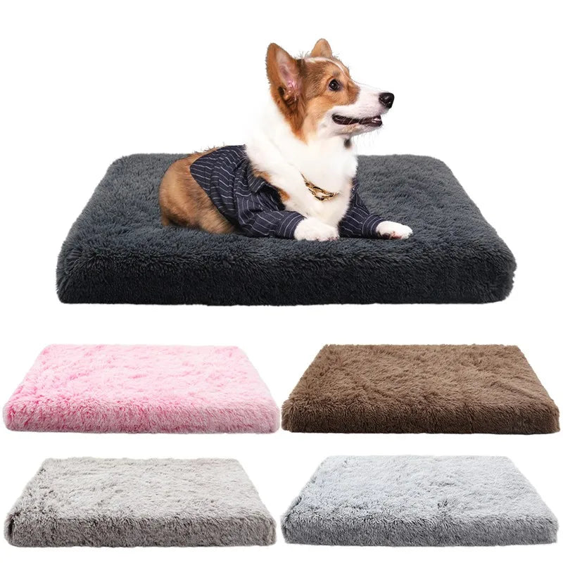 A fluffy brown and white dog is resting on a dark gray orthopedic rectangular dog bed with various colored removable covers.