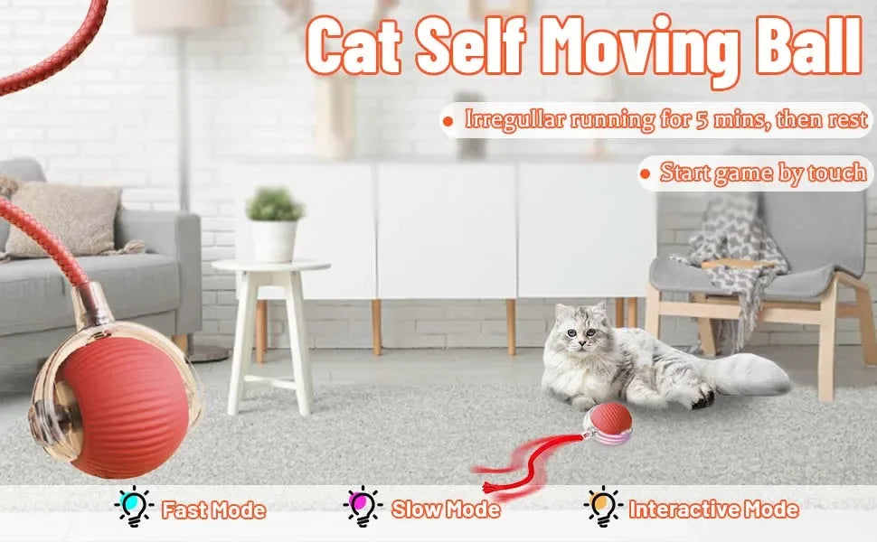 A gray cat is playing with an orange self-moving ball toy on a rug, demonstrating the interactive mode.