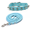 Light blue studded leather dog collar with metal rivets shown flat and coiled