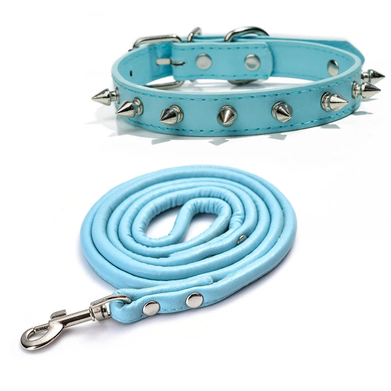 Light blue studded leather dog collar with metal rivets shown flat and coiled