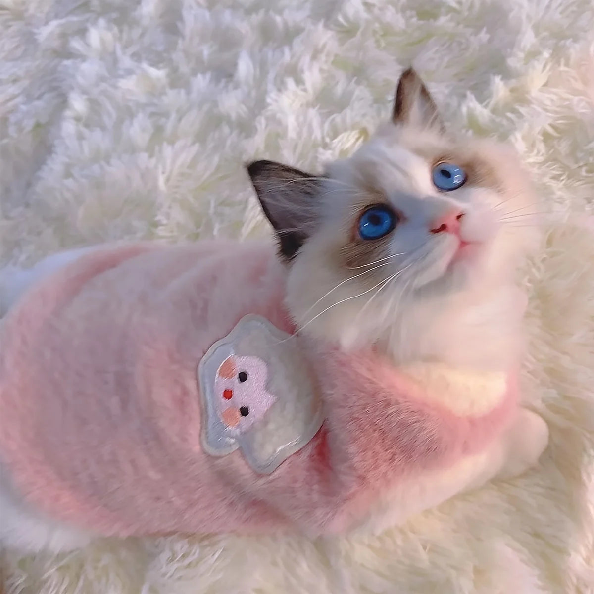 A fluffy white and blue cat wearing a pink embroidered vest on a white, furry surface.