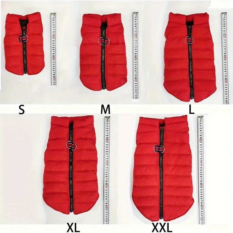 Red padded dog coat jacket shown in small, medium, large, and extra-large sizes with measurement guides.