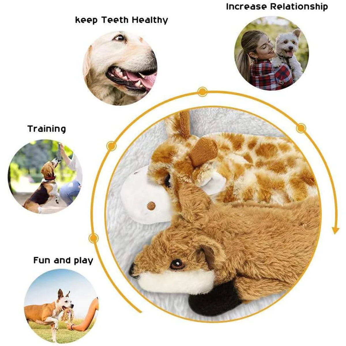 A set of five crinkle squeaky dog toys for stimulation, including a plush toy and a dog toy.