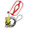 A yellow bird is shown wearing a red training harness and attached to a black leash set.