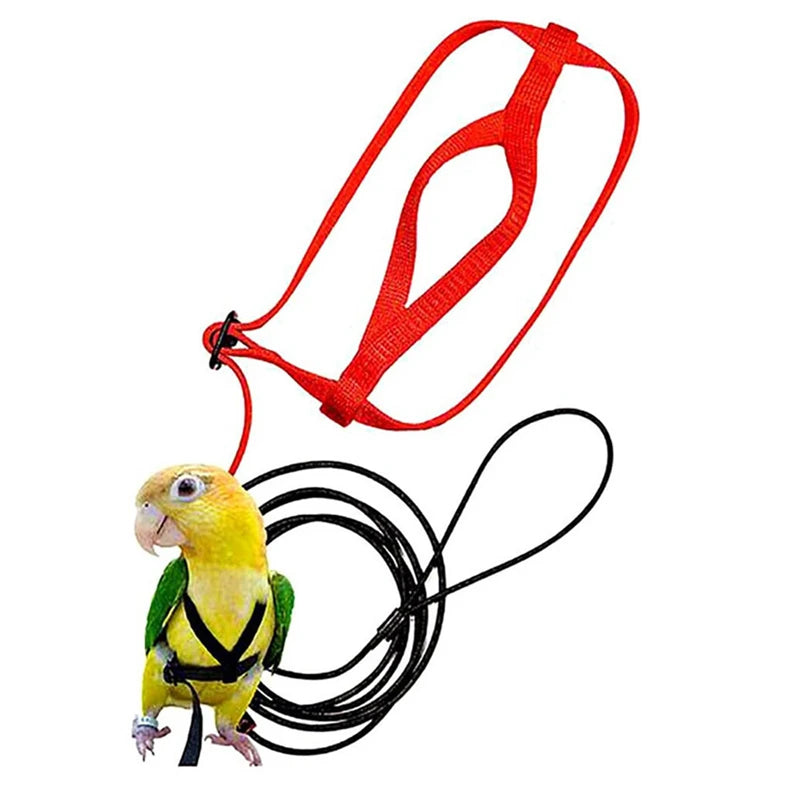 A yellow bird is shown wearing a red training harness and attached to a black leash set.
