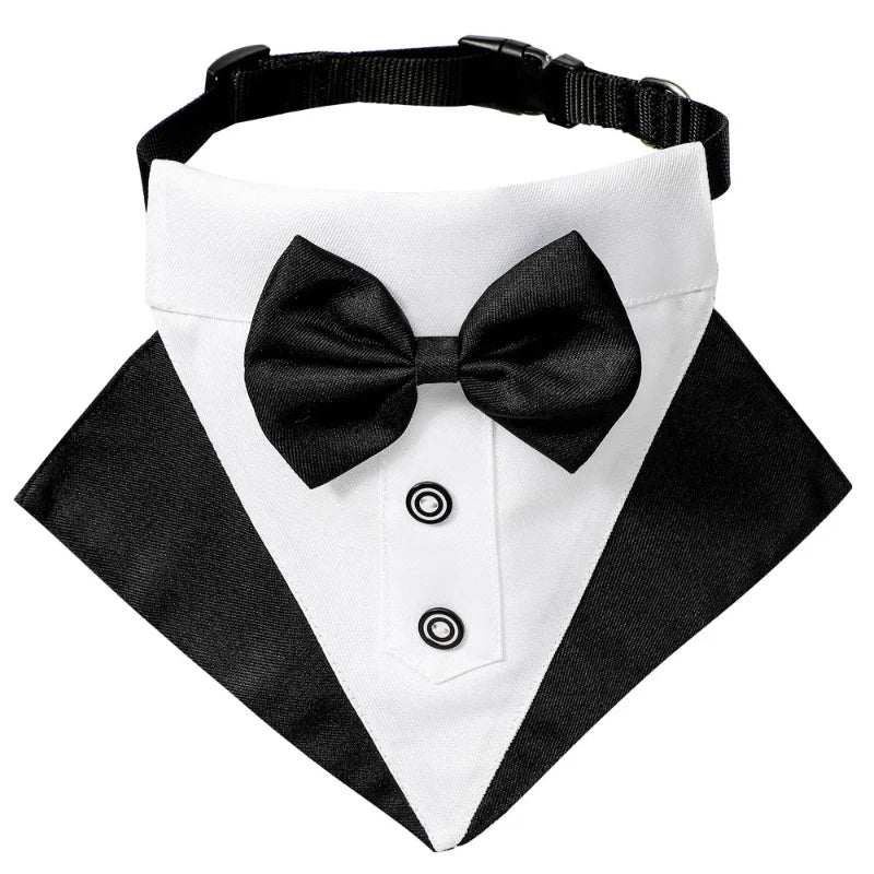 A classic dog tuxedo featuring a black and white collar with a black bowtie.
