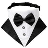 A classic dog tuxedo featuring a black bowtie collar and a black and white suit.